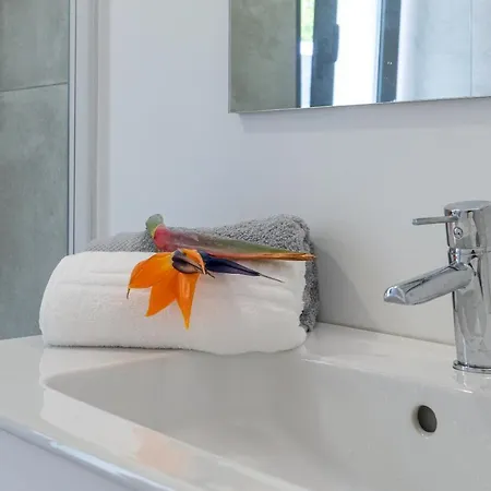 Casa Georgina * 卡列塔